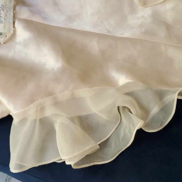 15 DLR SALE GORGEOUS VINTAGE DENTELLE NIGHT PIECE - Picture 8 of 12